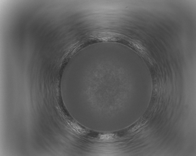 X0000058140461200510072036