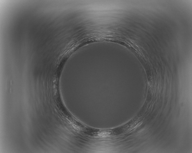 X0000058140462200510072036