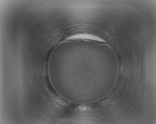 X0000058140464200510072036