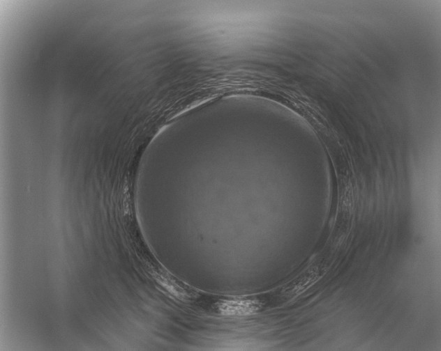 X0000058140465200510072036