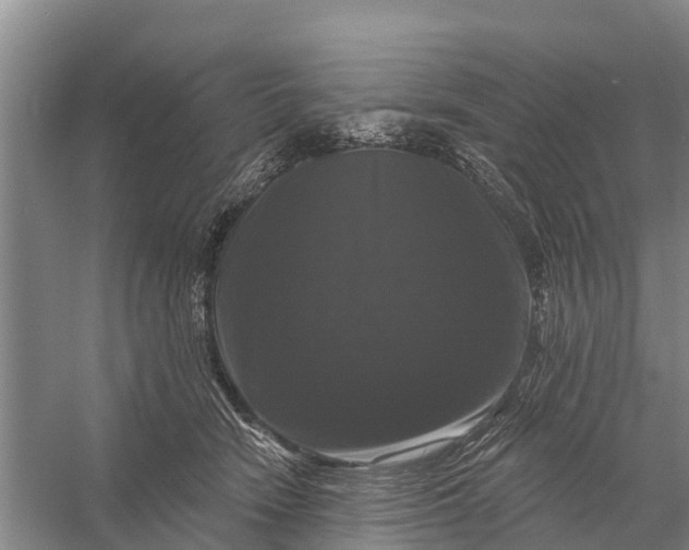 X0000058140466200510072036