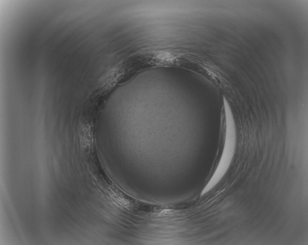 X0000058140467200510072036