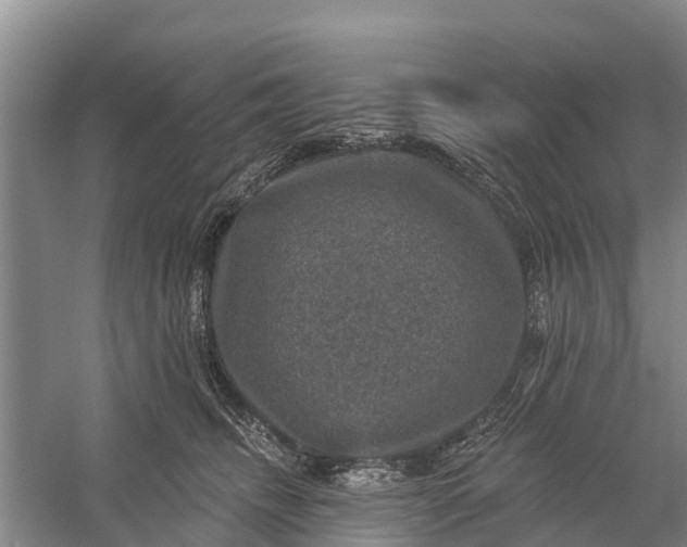 X0000058140468200510072036