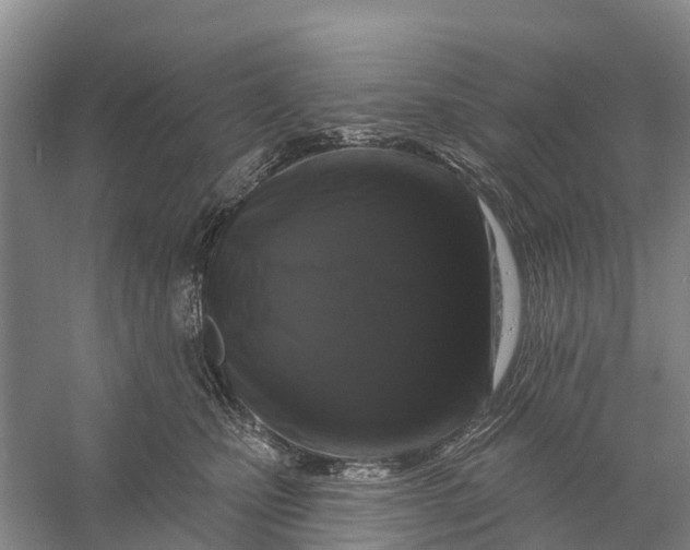 X0000058140471200510072036