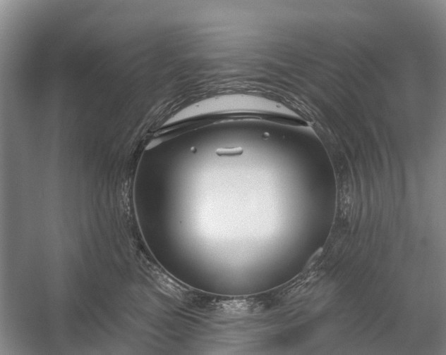 X0000058140473200510072036