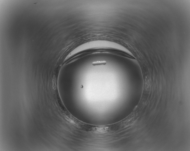 X0000058140474200510072036