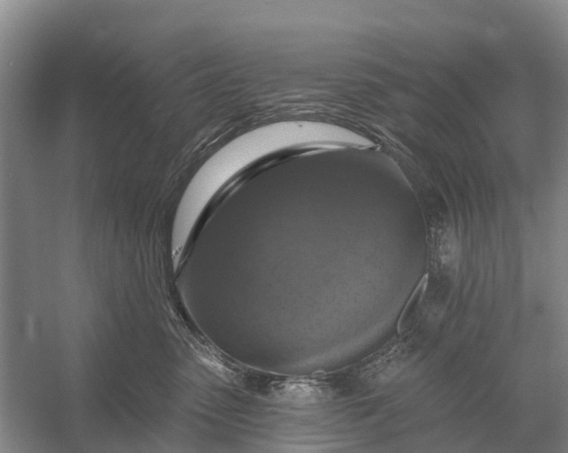 X0000058140475200510072036