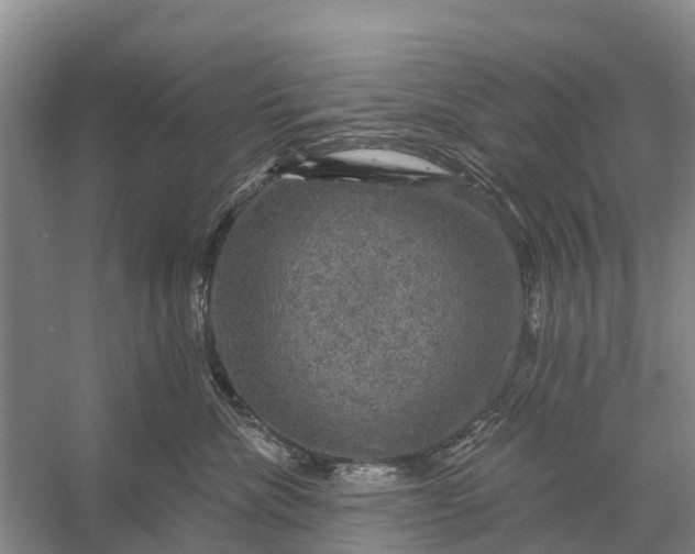 X0000058140476200510072036