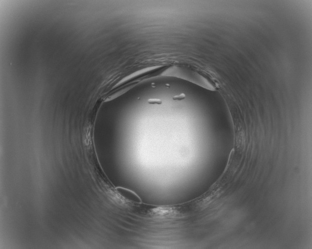 X0000058140477200510072036