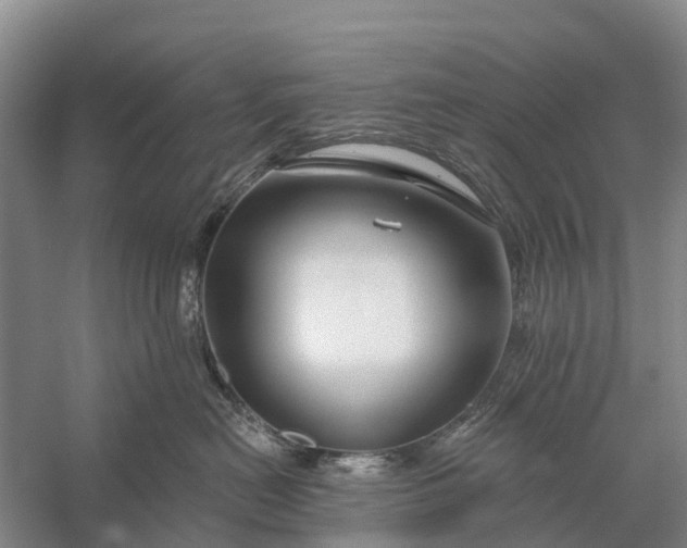 X0000058140478200510072036