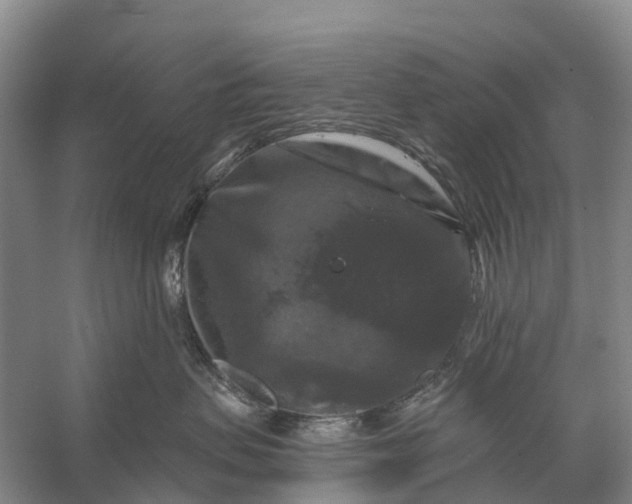 X0000058140479200510072036