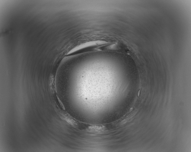 X0000058140480200510072036