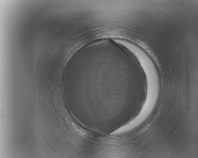 X0000058140481200510072035