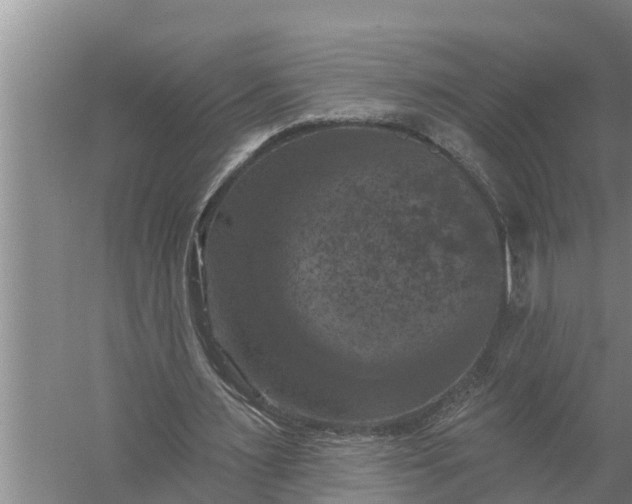 X0000058140483200510072035