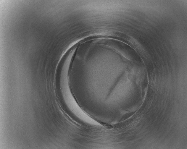 X0000058140484200510072035