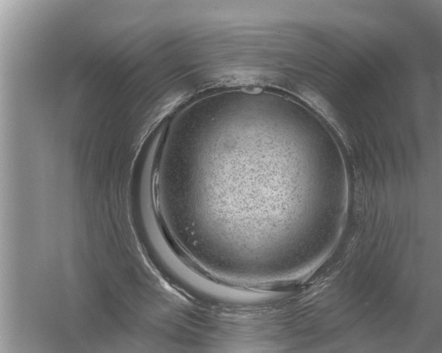 X0000058140485200510072035