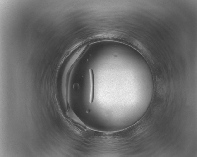 X0000058140486200510072035