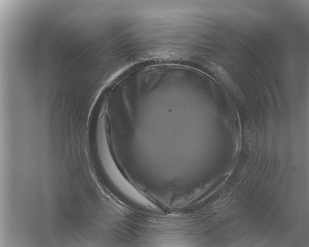 X0000058140488200510072035