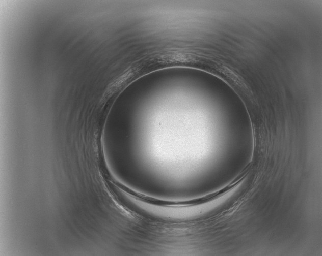 X0000058140489200510072035