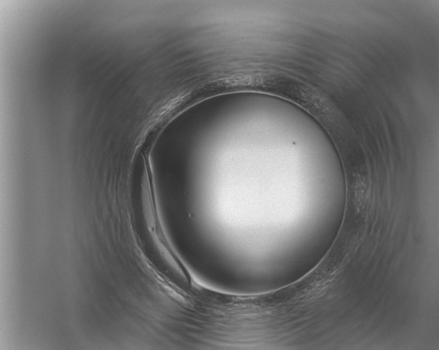 X0000058140490200510072035