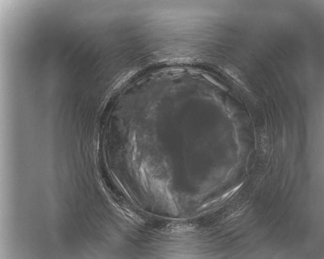 X0000058140491200510072035