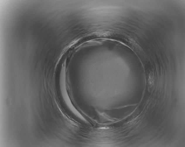 X0000058140492200510072035