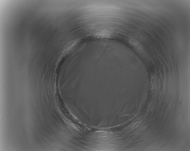 X0000058140494200510072035