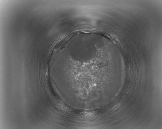 X0000058140495200510072035