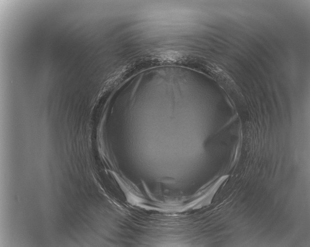 X0000058140496200510072035