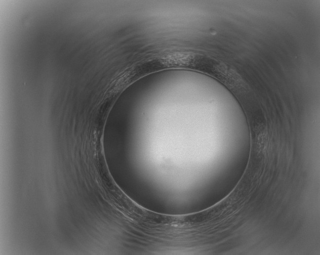 X0000058140498200510072035