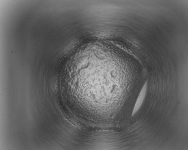 X0000058140499200510072035