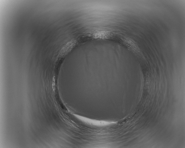 X0000058140502200510072035