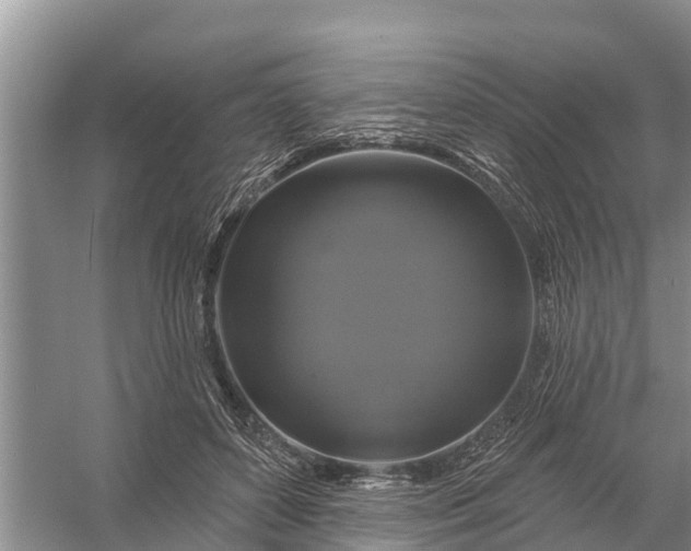 X0000058140504200510072035