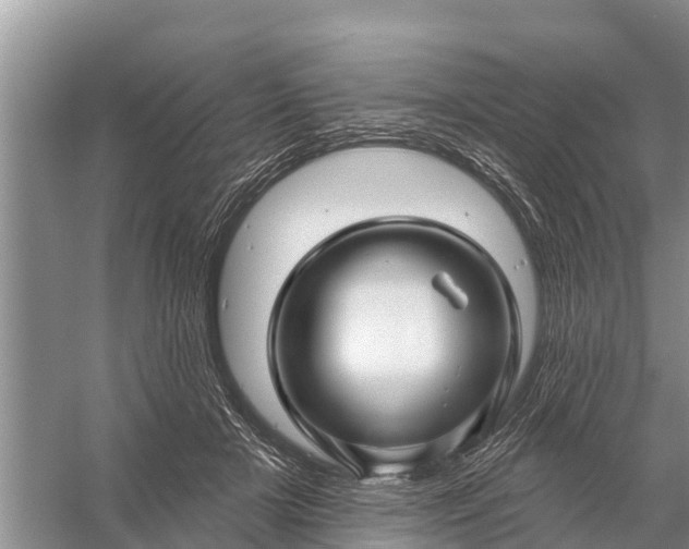 X0000058140505200510072035