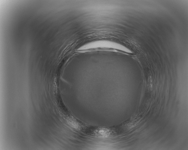 X0000058140506200510072035