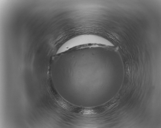 X0000058140507200510072035