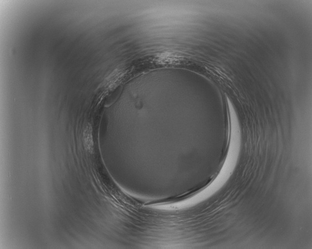 X0000058140508200510072035