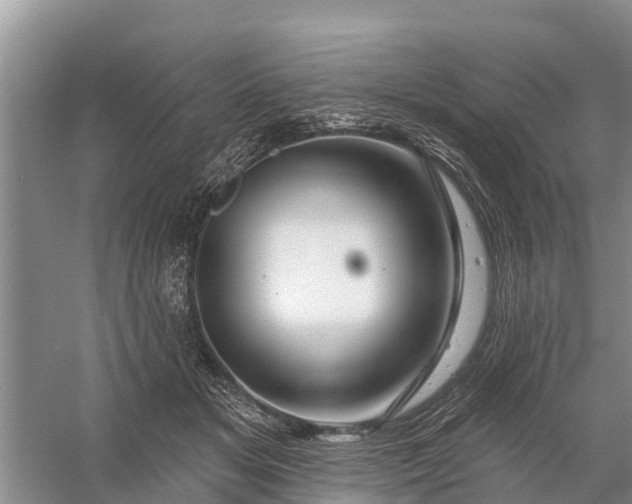 X0000058140509200510072035