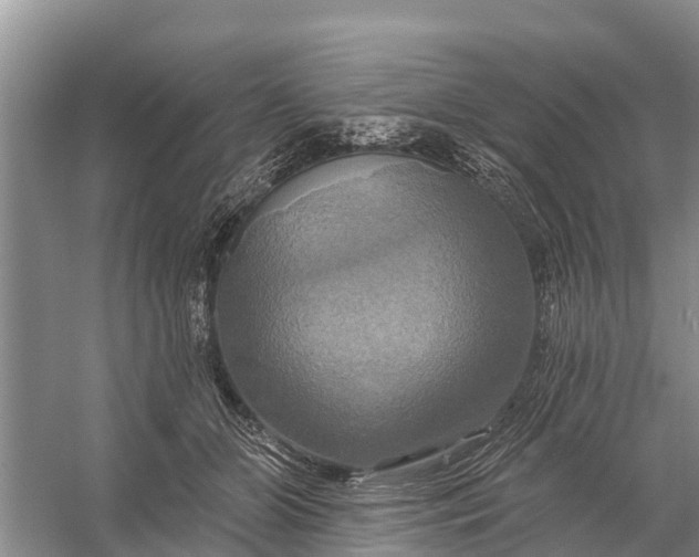 X0000058140510200510072035