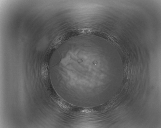 X0000058140511200510072035