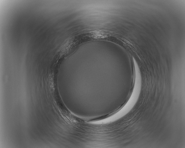 X0000058140512200510072035