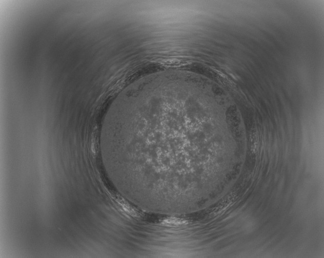 X0000058140515200510072035