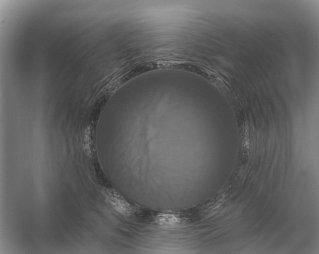 X0000058140519200510072035