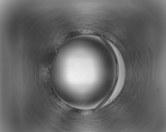 X0000058140521200510072035