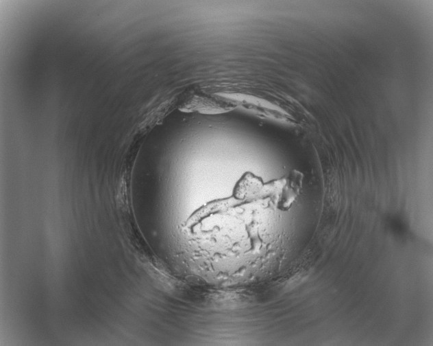 X0000058140523200510072034