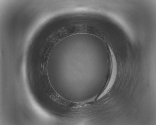 X0000058140524200510072034