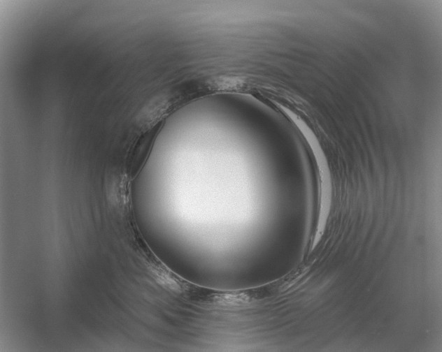 X0000058140525200510072034