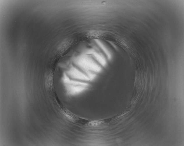 X0000058140526200510072034