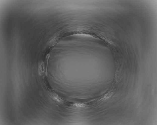 X0000058140528200510072034