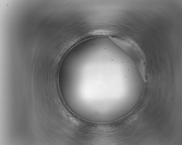 X0000058140529200510072034